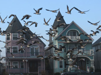 Slideshow Image 3